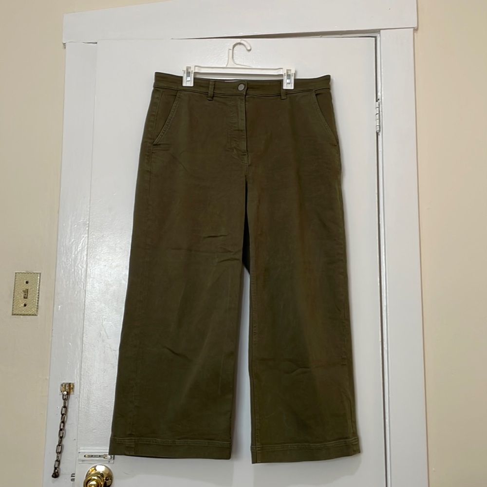 Everlane Wide Leg Pants